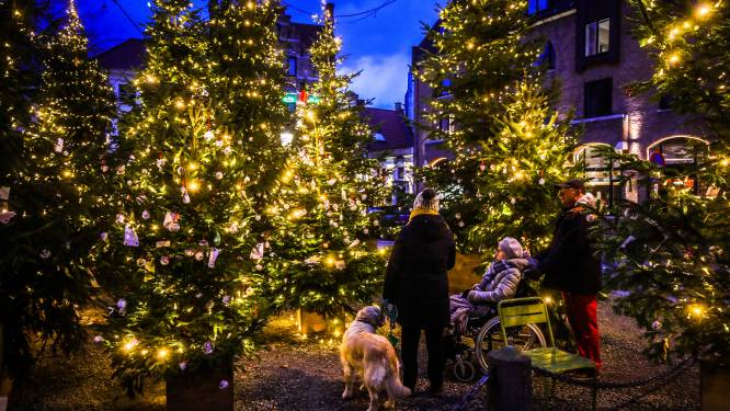 Van Evergem tot Aalter: deze kerstmarkten in het Meetjesland en Deinze dompelen je volledig onder in de kerstsfeer