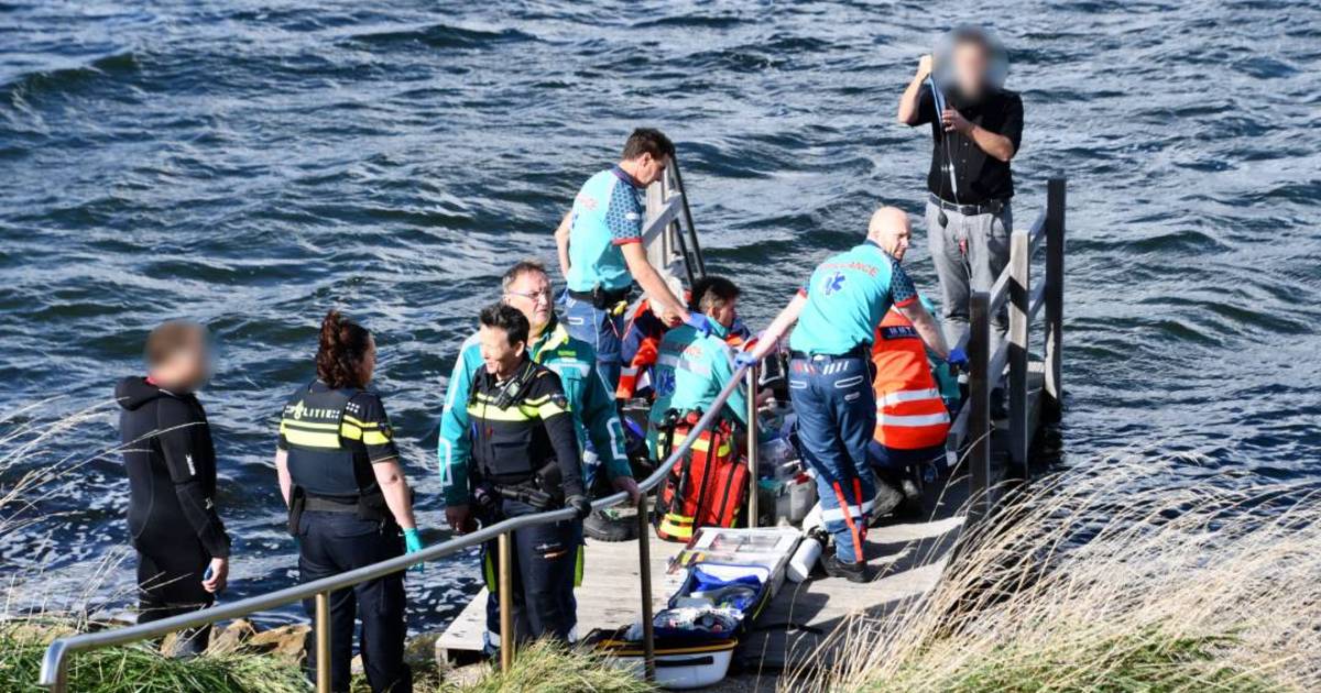 Duiker overlijdt bij ongeval bij het Veerse Meer.