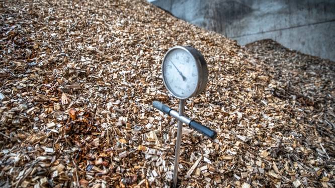 Biomassacentrale in Ede vist achter het net bij rechter: dwangsom voor stankoverlast blijft staan