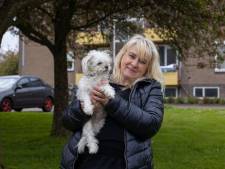 Vondst afgehakte hondenpootjes schokt Emmeloord: beloning voor gouden tip