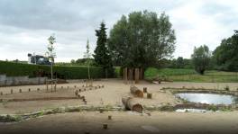 Knap! Dit is perfecte tuin om in te genieten van de natuur