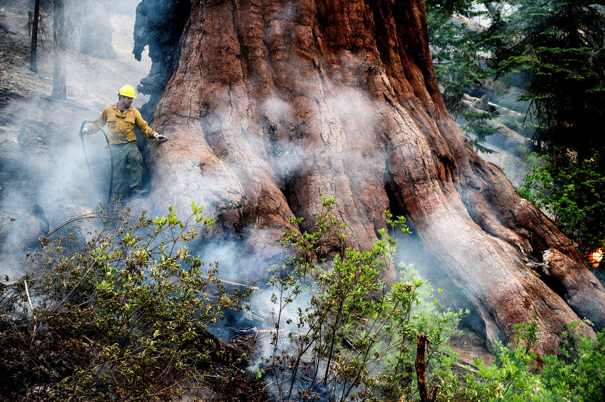 Yosemite National Park.  Image by AP