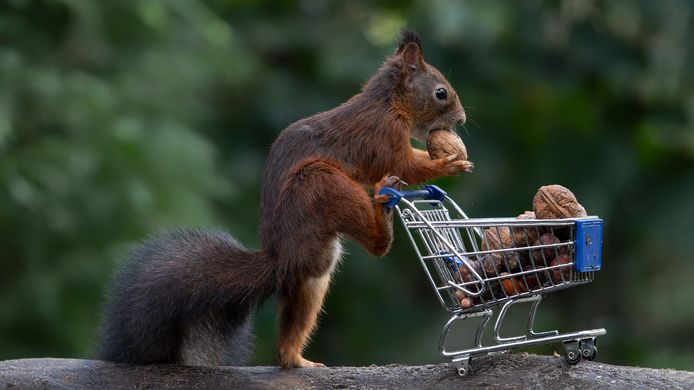 ?appId=21791a8992982cd8da851550a453bd7f&quality=0.8