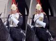 Het lid van de Queen’s Guard begon te schreeuwen naar de toerist.
