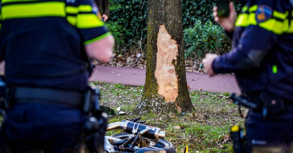 Motorrijder zwaargewond bij botsing tegen boom in Mierlo.