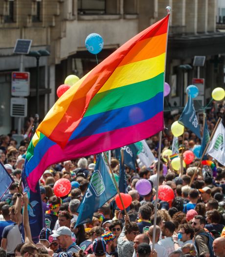 Deux cas de "piqûres sauvages" signalés à la Belgian Pride