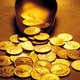 Klussend stel vindt gouden munten ter waarde van een ton