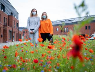 Bewoners woonsite De Naeyer murw geslagen door resultaten PFOS-onderzoek: “Wat met onze gezondheid en de waarde van onze woningen?”