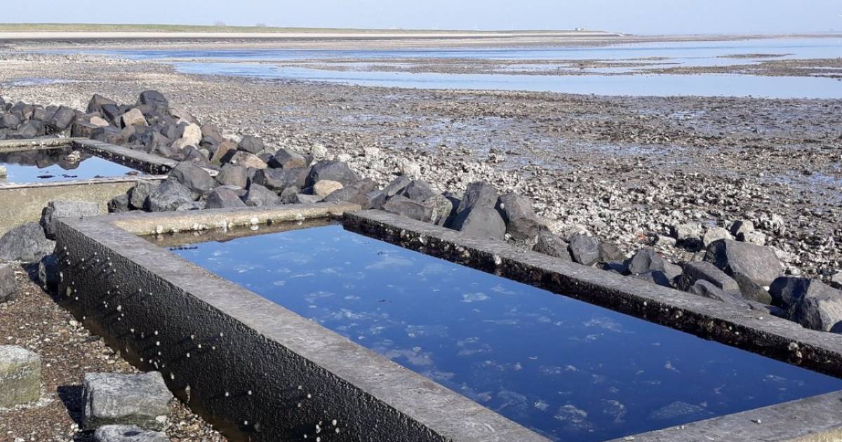 Wemeldinge krijgt vier getijdebakken bij strandjes | Bevelanden | pzc.nl - Provinciale Zeeuwse Coura