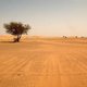 87 Nigerese migranten sterven in de woestijn