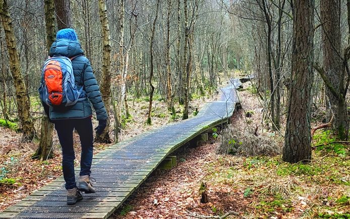 Wandeling Truus Wijnen vanaf de Haarmühle richting het Witte Veen.