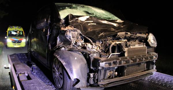 Auto in puin na aanrijding met hert in Loenen: bestuurder gewond.
