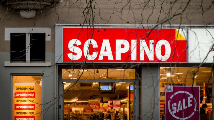 Scapino steve madden clearance