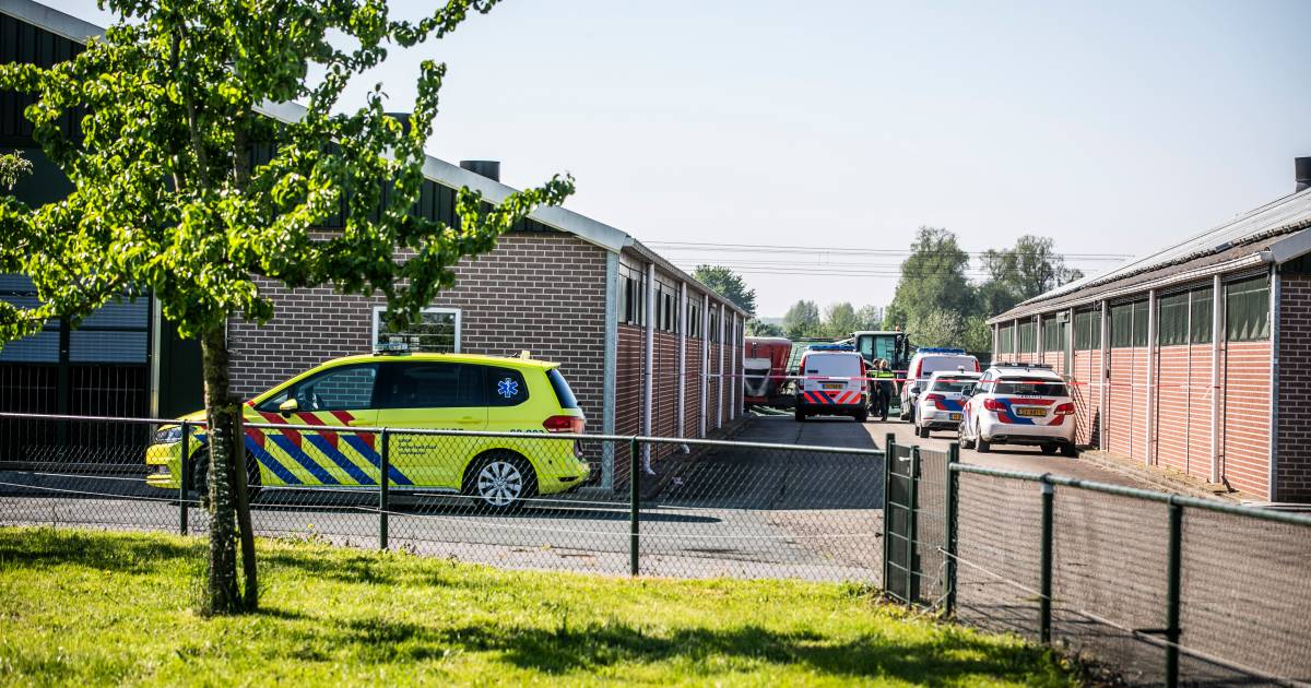 VIDEOOCHTEN - Een kind is maandagmorgen om het leven gekomen door een ongeluk op een boerderij in Ochten.
