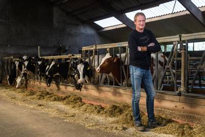 Stoppen kwam als een mokerslag voor Deurningse boer Gerard: ‘Ik heb een paar dagen lopen huilen in d