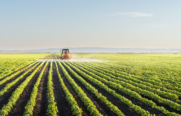 Tractor spraying a field of corn
landbouwgif