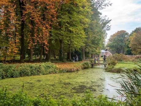 De landschapstuin van Kasteel Geldrop wordt in ere hersteld; provincie geeft subsidie 