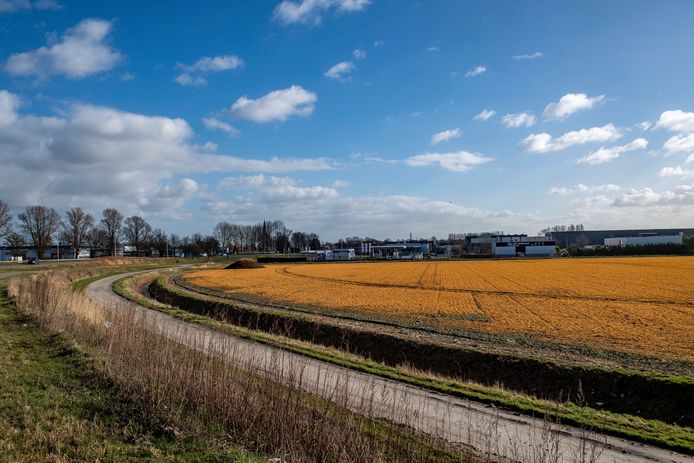 Bij de afslag aan de A4 bij Steenbergen komt Reinierpolder 3, een nieuw regionaal bedrijventerrein waarin Bergen op Zoom, Steenbergen en Woensdrecht samen optrekken. In totaal gaat het om 30 hectare.