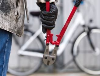 Man wil fiets stelen uit garage, maar wordt betrapt: “Wie heeft vluchtende dief gezien?”