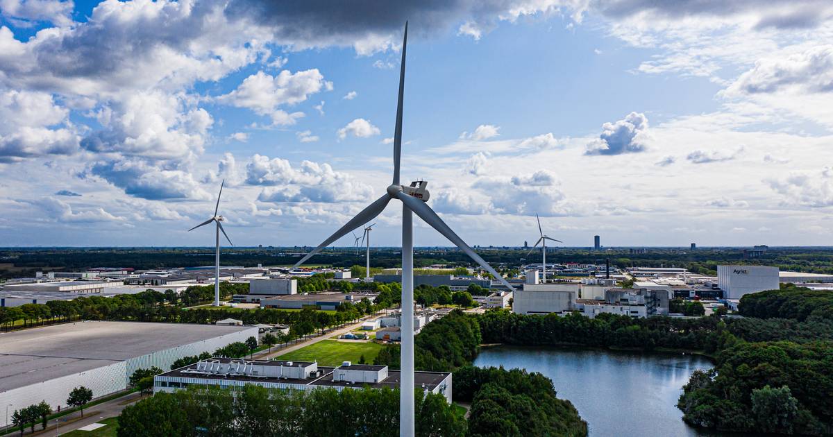 Hart van Brabant gaat zelf wind- en zonneparken ontwikkelen: ‘Als je dit aan marktpartijen overlaat, maak je jezelf afhankelijk’