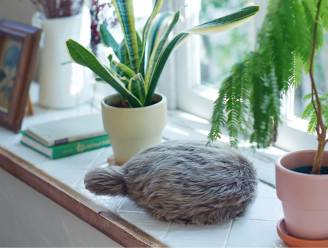 Van slim toilet tot kwispelend kussen: deze bizarre gadgets werden voorgesteld op CES 2021