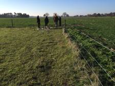 Hellendoorns wolf-proof raster is eerste in Overijssel