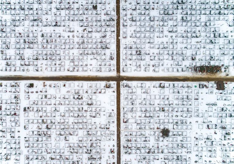 Graven in de sneeuw op de Boetovskoje-begraafplaats in Moskou, gezien vanuit de lucht. Boetovskoje is een van de begraafplaatsen in Moskou waar coronadoden worden begraven. Beeld AP
