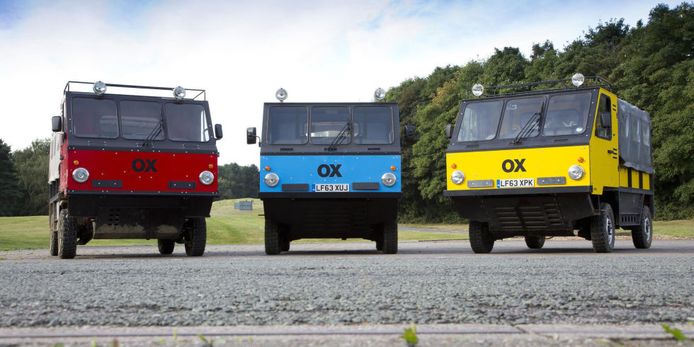 OX