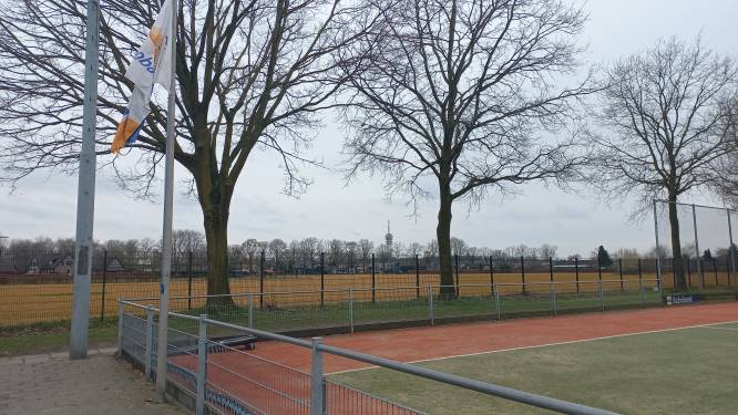 Constant ‘gepok-pok’ van balletjes: buren vrezen uitbreiding Mierloos sportpark met padelbanen