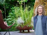 “Stoer en authentiek meubilair en rondtrekken in eigen tuin”: dit worden de tuintrends voor 2023