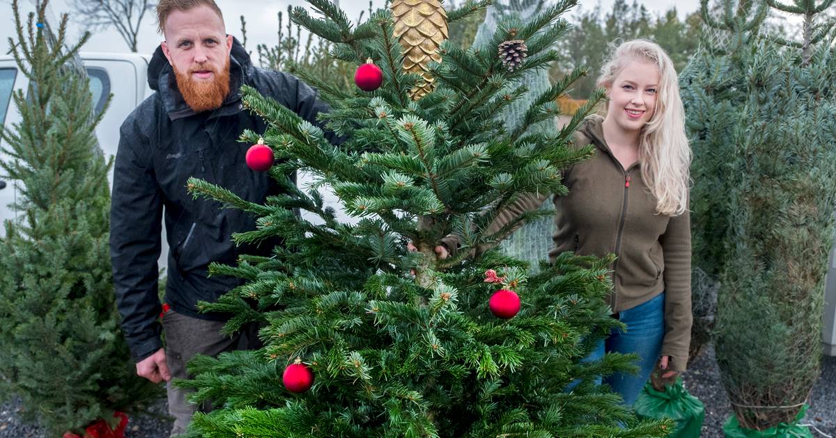 Luchtvaartmaatschappijen hoofdstad efficiënt Rick en Alix bezorgen kerstbomen thuis: 'Meer mensen bleken op het idee te  zijn gekomen' | Heumen | gelderlander.nl
