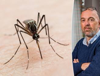 Waarom zijn er zoveel muggen en wat kunnen we ertegen doen? “Insectenspray is pas de laatste verdediging”