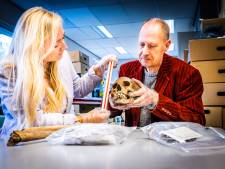 In 16de eeuws graf in Oud-Beijerland is skelet ‘van één van oudste bewoners’ gevonden: ‘Historische sensatie’