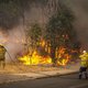 Bosbrand bij Perth: één dode en ruim 40 vernielde huizen
