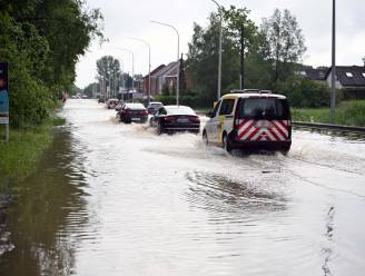Regenweer zet verschillende straten in Lubbeek en Holsbeek blank