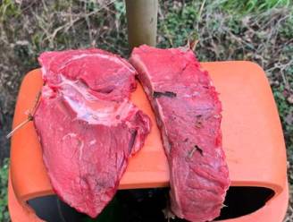 Politie en Natuurpunt Herent waarschuwen voor mogelijk vergiftigd vlees aan Kastanjebos: “Levensgevaarlijk voor honden”