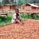 Geen enkel chocoladekeurmerk is in staat gebleken de cacaoproductie van haar schadelijke kanten te ontdoen