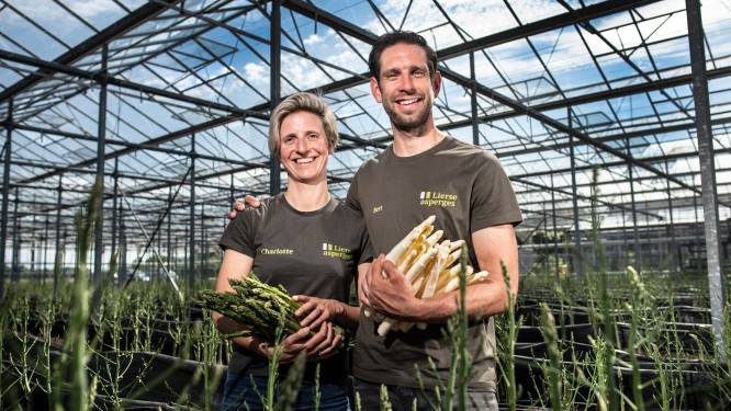 Hoe komt het dat er al witte asperges verkrijgbaar zijn, ook al is het seizoen nog niet gestart? En heeft het witte goud ook ‘last’ van de inflatie?