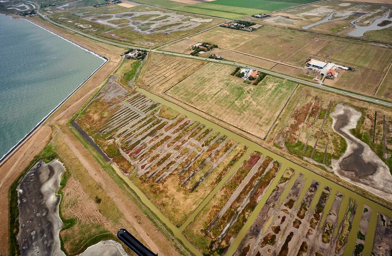 Sporen in het land, nieuwe rechte lijnen en oude paden. Beeld Phil Nijhuis