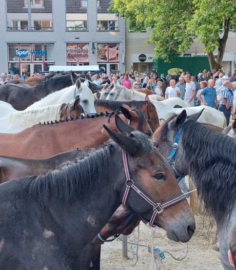 Veel mensen én veel paarden tijdens eerste uren van paardenmarkt in Bemmel