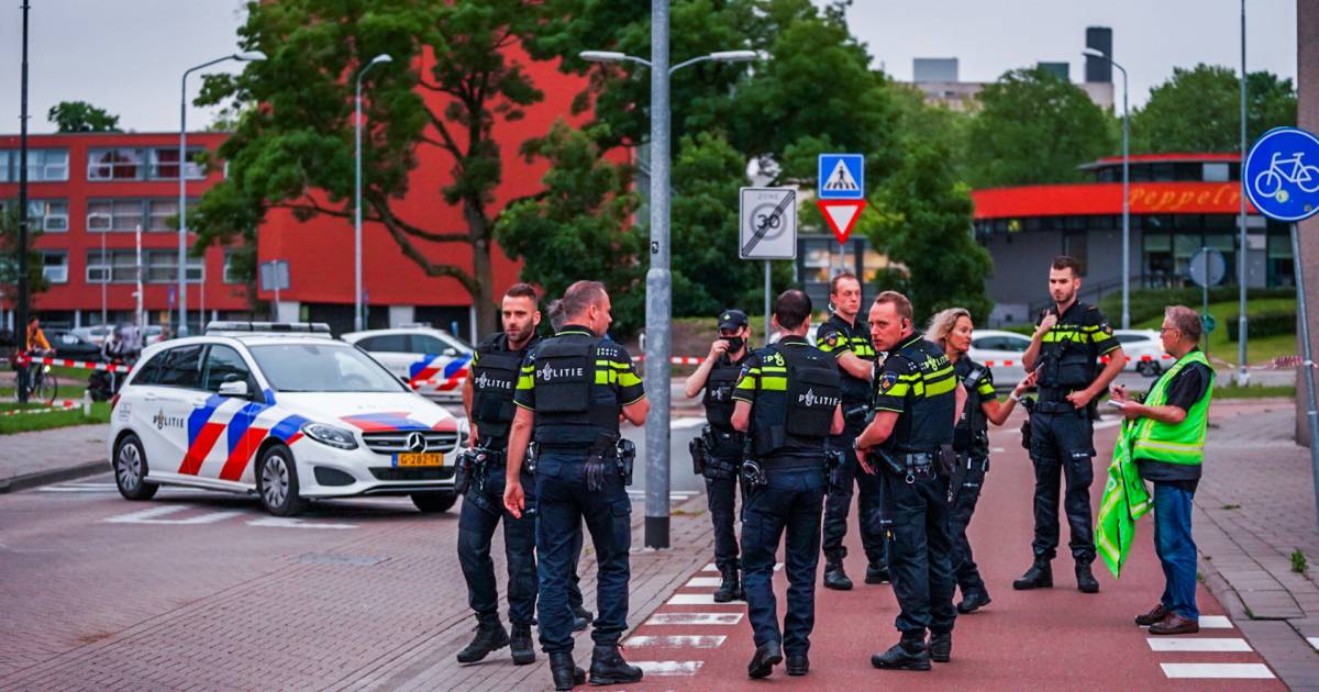 Er zijn veel beelden van de schietpartij. Mensen in de omliggende flats zijn gaan filmen bij het horen van de ruzie of het schot.
