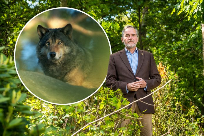 Seger van Voorst tot Voorst, directeur Nationale Park de Hoge Veluwe