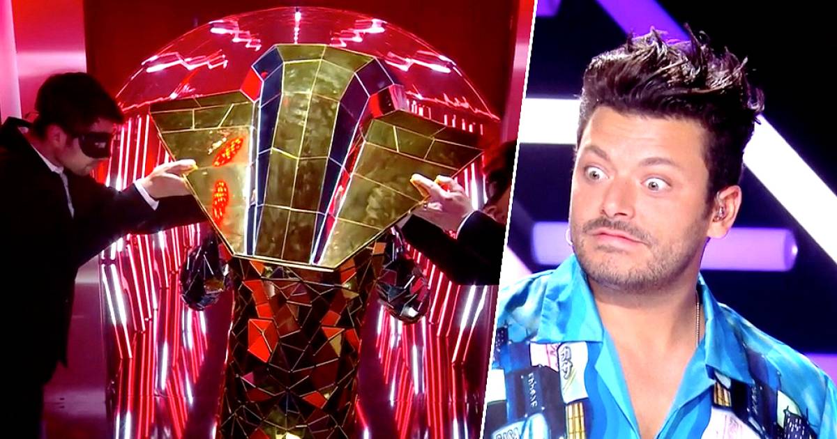 Una grande sorpresa nel francese “Masked Singer”: Cobra non si traveste e si rivela una famosa star di Hollywood |  Televisione