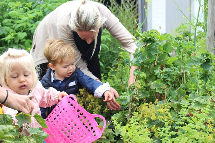 Kinderopvang Clara di Luna heeft eigen moes- en fruittuin waarin kinderen hun groenten en fruit zélf kweken en plukken. I-pads en televisie zijn er niet welkom
