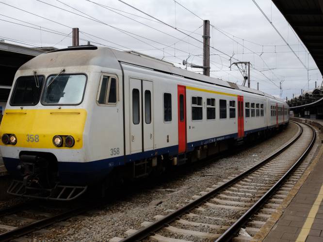 Politie voert extra controles uit op treinen van en naar Brussel om illegale transmigranten te klissen