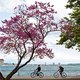 Deze 7 wereldsteden smeken om een fietstocht