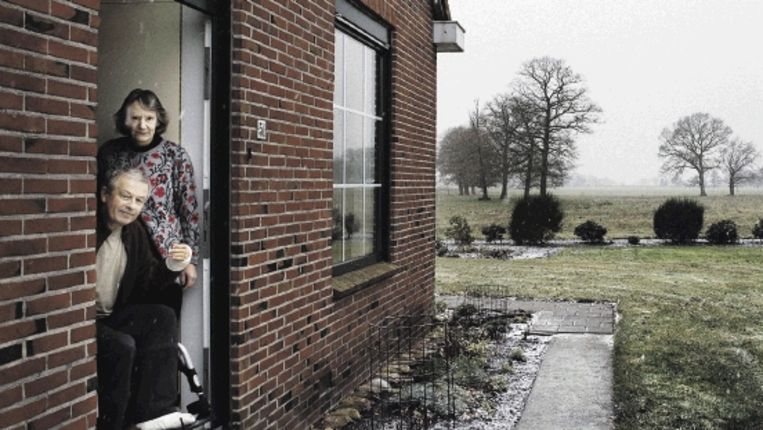 (Trouw) Beeld reyer boxem
