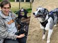 Studententeam Kwispler brengt bijzonder hondenharnas uit