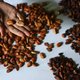 'Fairtrade-chocola blijkt wassen neus'