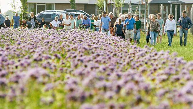Boeren in Osse polder gaan uit zichzelf al voor schonere bodem, lucht en water: ‘Uniek proces’